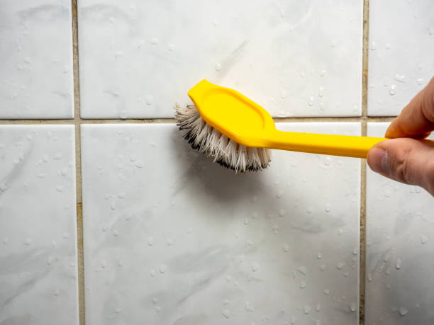 Attic Mold Removal in La Villa, TX