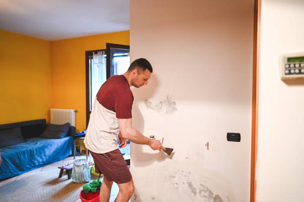 Best Mold Remediation Services  in La Villa, TX